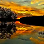 16.webp