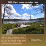 17.webp