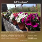 22.webp