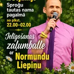 6--balle-sprogi.webp