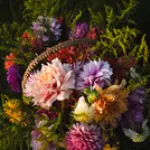 ilze-antra-makarova-99.webp