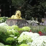 img-8501.webp