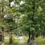 luarlv-711.webp