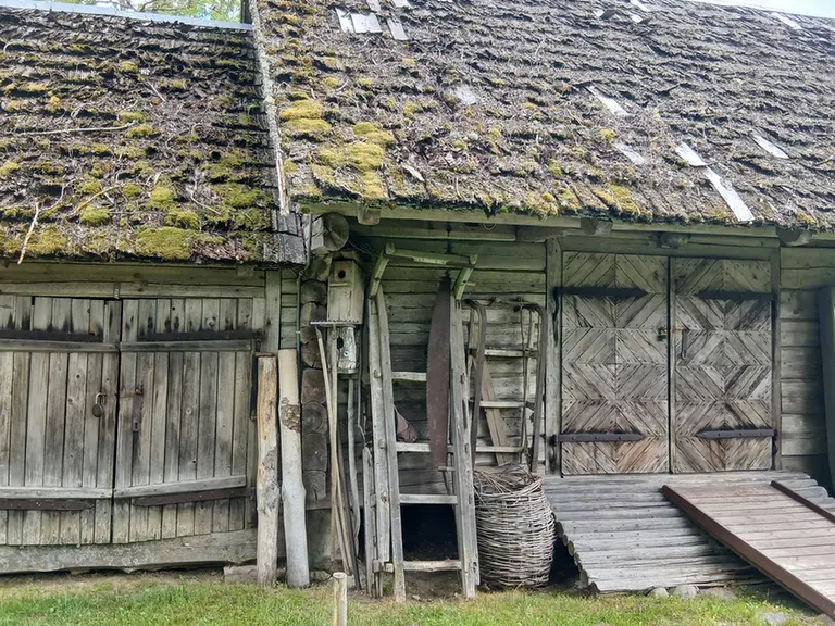 lielais-vaguzis-kalpu-punite.webp