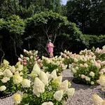 20250826-125124.webp