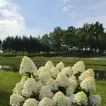 20260727-091944.webp