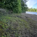 2025-06-28-17-12-45.webp