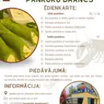 pankuku-brancs-20250726-115141-0000.webp