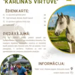 karlinas-precizetss.webp