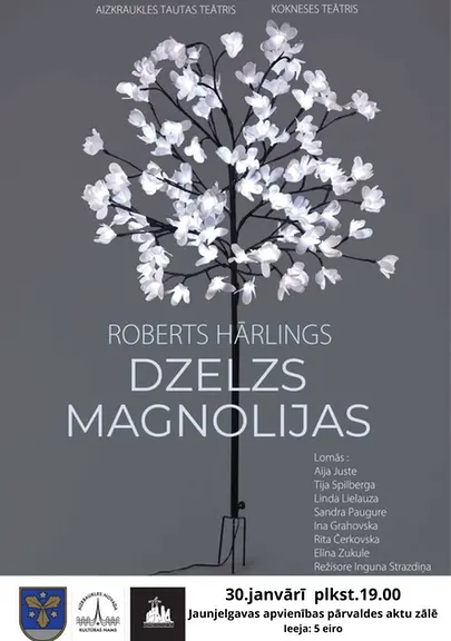 magnolijas-4.webp