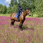 lances-stalla-foto.webp
