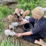 lances-stalla-foto_0.webp