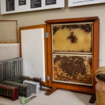 Latvijas biškopības muzejs