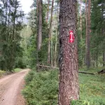 1-aiviekstes-velo-trase.webp