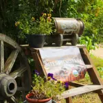 pienotava7.webp