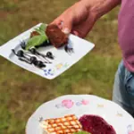 rijnieki-11.webp