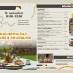 12.webp