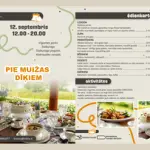 5.webp
