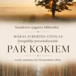 kokisunakste.webp