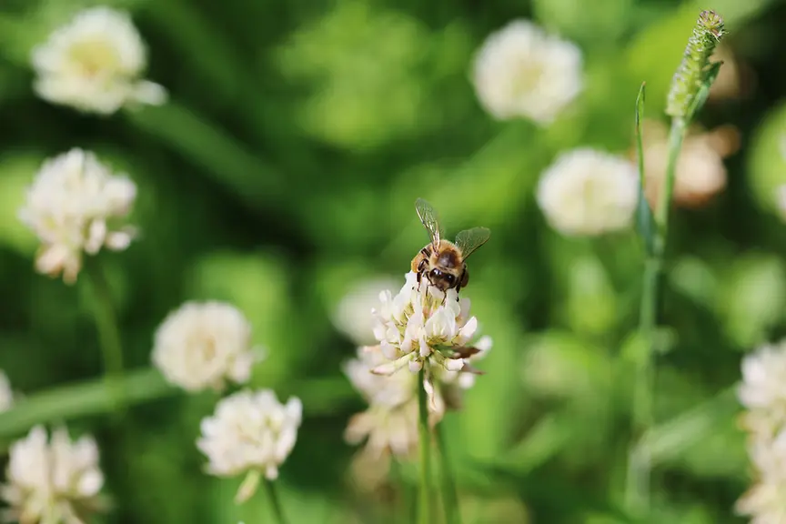 img-9436-vsco.webp