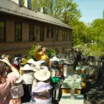dscf0464.webp