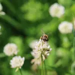 img-9436-vsco.webp