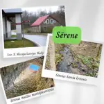 6-serene.webp
