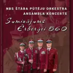 orkestris-nbs.webp
