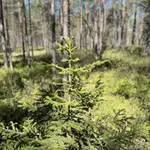 img-1865.webp