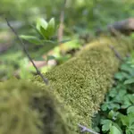 img-1898.webp