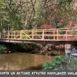 7-sporta-un-aktivas-atputas-komplekss-mailes.webp