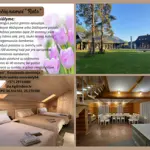 27.webp
