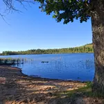 peldvieta-pie-mazsunakstes-ezera-3.webp