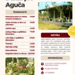 darza-pie-aguca.webp