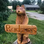 radzes-6-jpg.webp