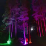 12-10-2024-278.webp