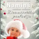 ziemassvetki-namins-2025-bb.webp
