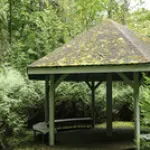 atputas-lapene-skriveru-parka.webp