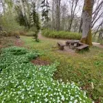 karsu-galdins-skriveru-dendro-parka.webp