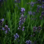 54688729191-f705527bf3-k.webp