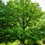 54688976834-76258e6120-k.webp