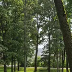 20260812-125825.webp