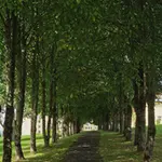 20260812-132115.webp