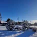 20251230-132259-jpg.webp