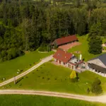 dji-0273.webp