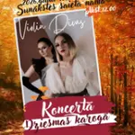 violin-divas.webp