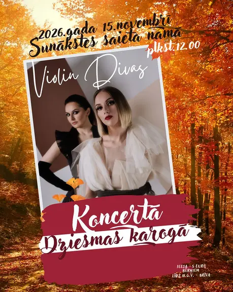 violin-divas.webp