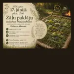 sunpakl-1080x1350.webp
