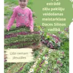 rutaspaklajins.webp