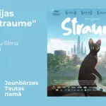 straume.webp